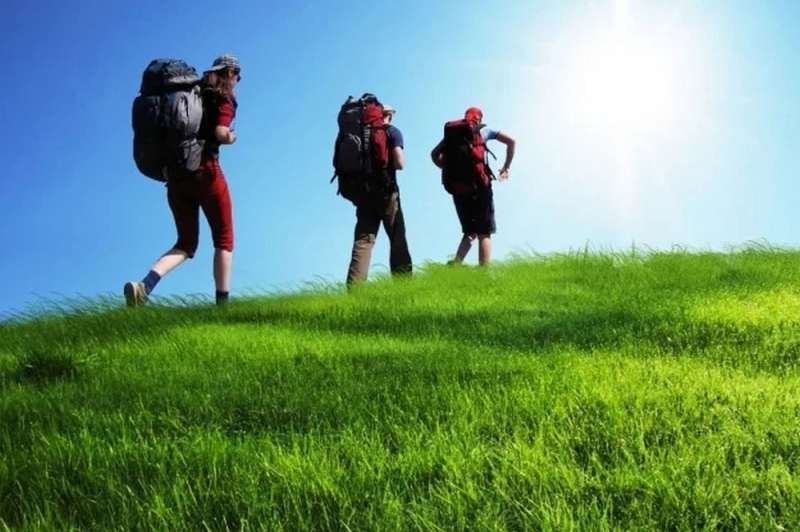 В Павлоградском районе будут развивать «зеленый туризм»