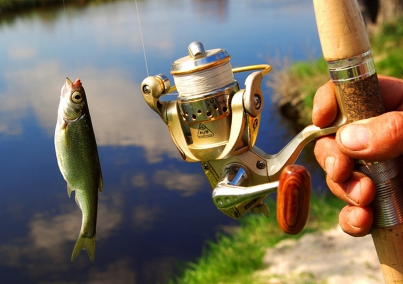 Итоги операции «Нерест» на Днепропетровщине: рыбаки использовали даже боевые гранаты