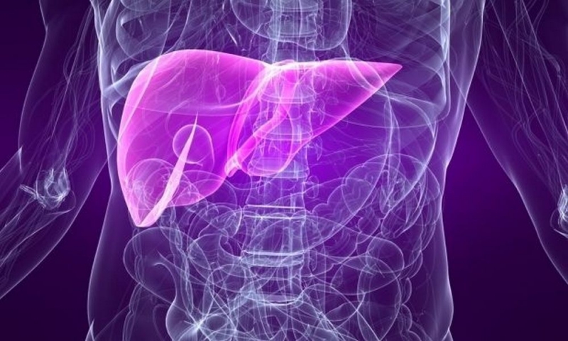 Количество вирусных гепатитов в Павлограде увеличилось в два раза