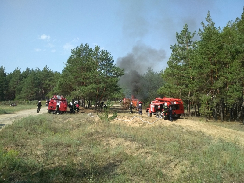 В Павлограде спасатели спровоцировали пожар и сами его потушили