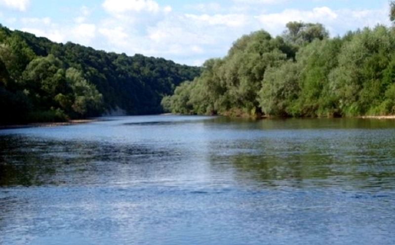 В воде городского пляжа Павлограда до сих пор живет кишечная палочка, – МОЗ. Городской эпидемиолог говорит об обратном