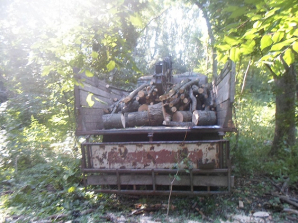 Павлоградские полицейские задержали троих харьковчан за вырубку леса