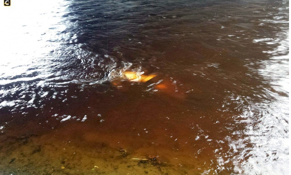 Убийство или суицид: в Волчьей нашли труп женщины