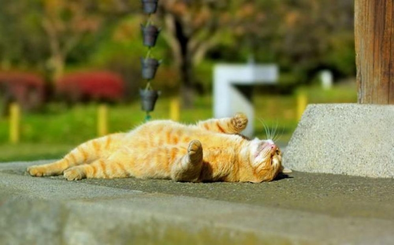 Последние дни лета и начало осени на Днепропетровщине будут жаркими и опасными