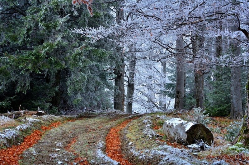 Народный прогноз: с 31 августа возможны заморозки
