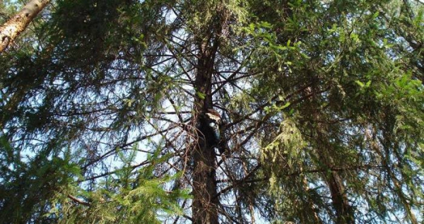 Знайшовся безвісті зниклий житель м. Павлограда