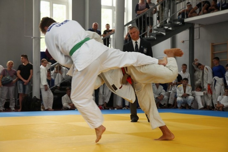 Дзюдоисты из Павлограда вошли в число сильнейших спортсменов области