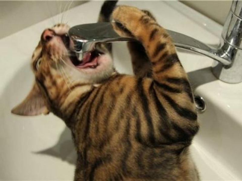 Павлоград, Терновка и Першотравенск останутся без воды на 2 дня