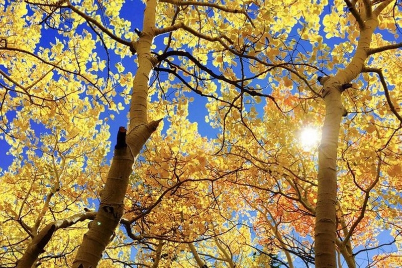 День осеннего равноденствия: 22 сентября стоит сжигать мусор и «генералить» в доме