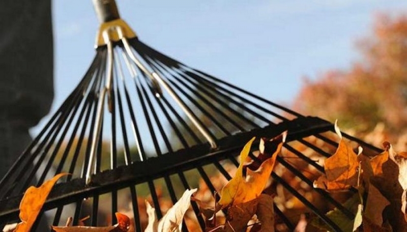 За публичное обнажение – 60 часов общественных работ отработает житель Юрьевского района