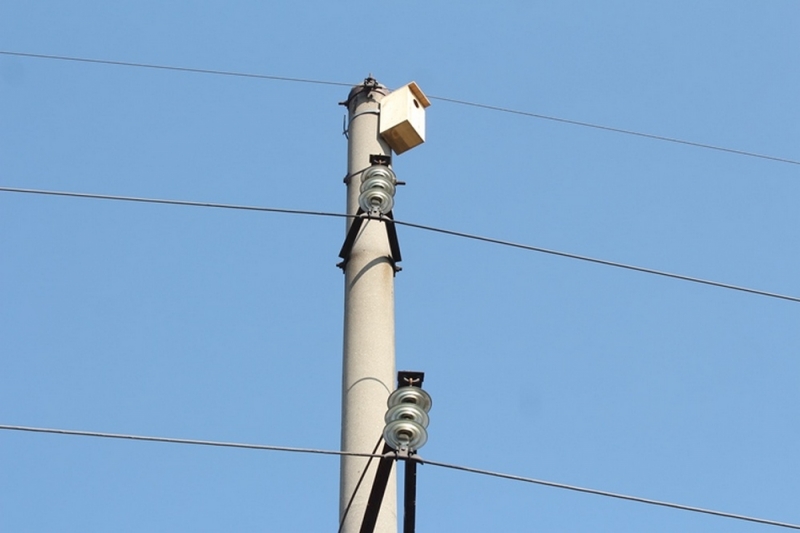 В Павлоградском районе энергетики устанавливают искусственные гнезда для птиц