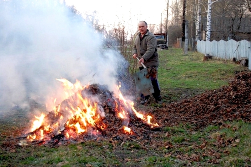 Павлоградцам напомнили о последствиях от сжигания осенней листвы