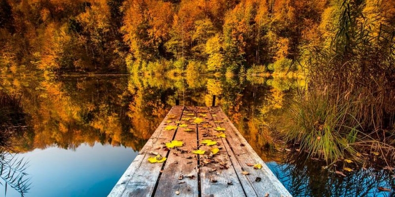 Осенние лихорадки, порча и приход осени: народный прогноз на 16 октября