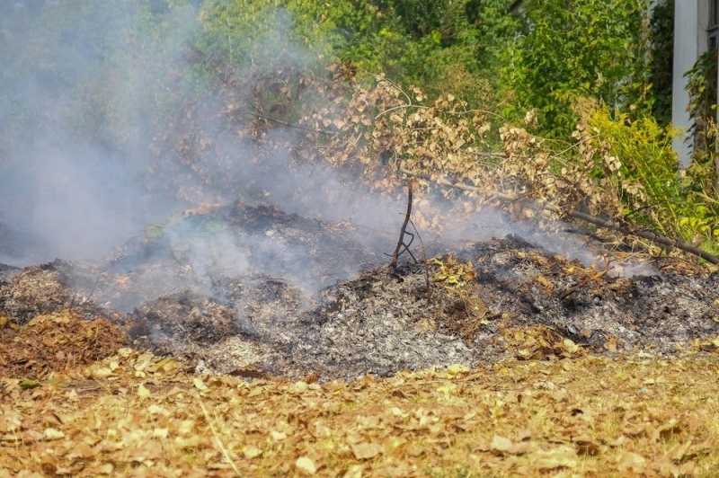 Экологи напомнили о вреде дыма от сожженных опавших листьев