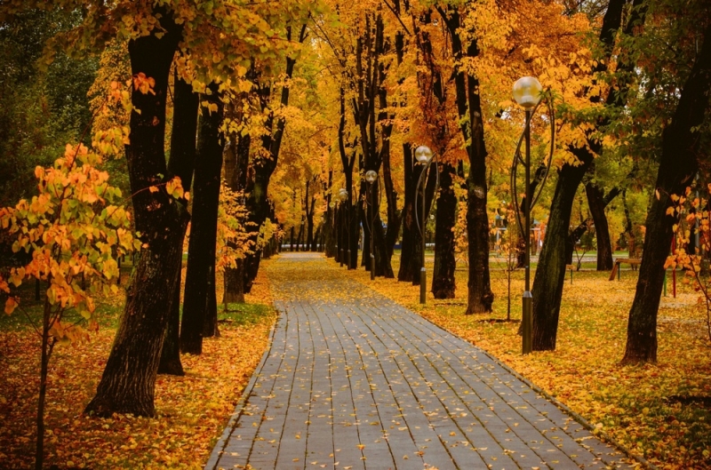 Народные приметы: в старину считалось, что 25 октября нельзя смеяться