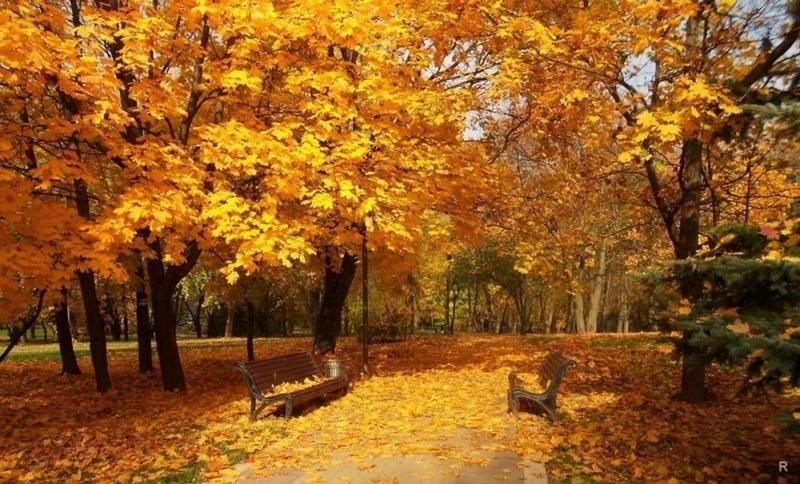 Сухо и тепло: синоптики спрогнозировали погоду на начало ноября