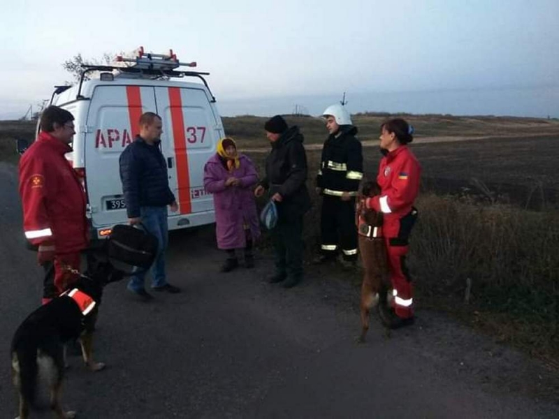 Пошла за грибами и заблудилась: на Павлоградщине несколько госструктур искали бабушку