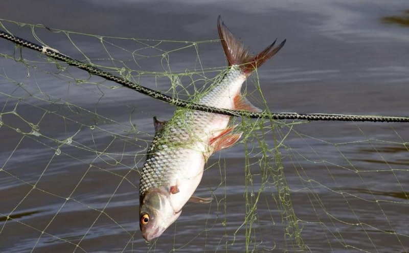 «Черные рыбаки» Днепропетровщины будут наказаны за нарушение правил рыболовства