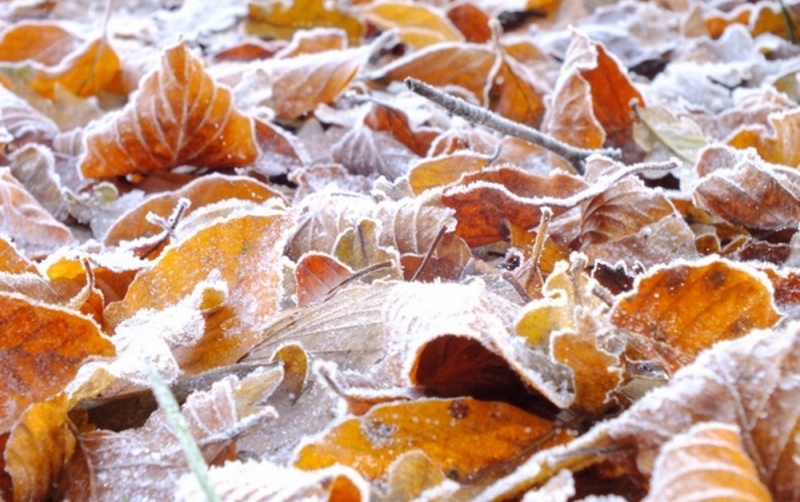 Народные приметы: 9 ноября нужно исполнить все свои обещания