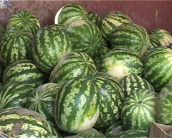 Торговцев арбузами в Павлограде обяжут облагораживать свои палатки