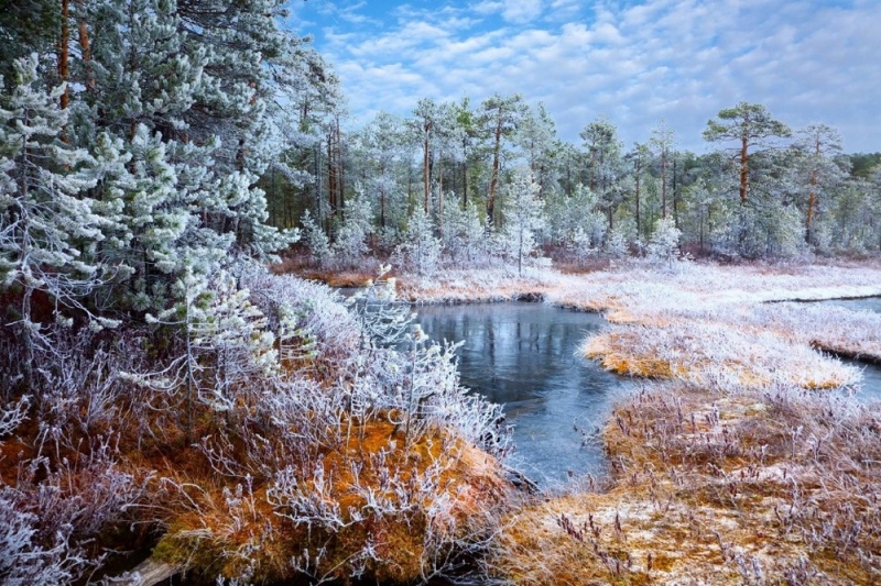 Народные приметы: 19 ноября отмечали праздник Павла Ледостава