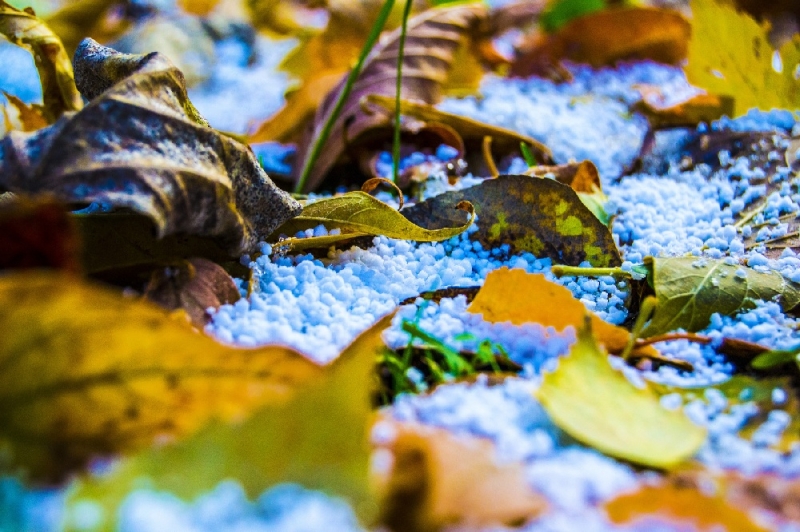 26 ноября почитается память святителя Иоанна Златоуста