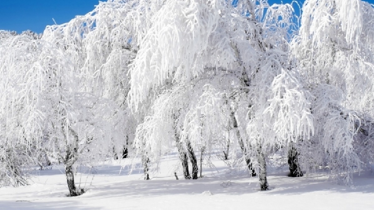 День святителя Петра: 3 января никому нельзя желать здоровья и счастья