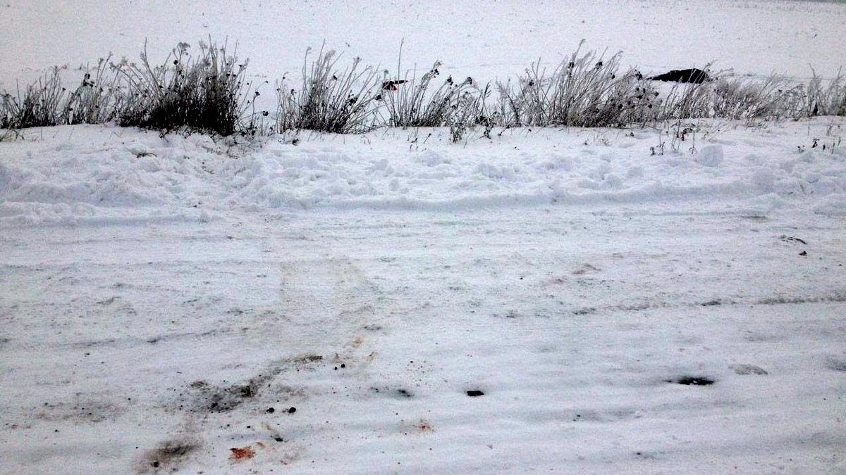 Отвез к посадке и зарезал: полисмены Павлограда задержали мужчину, подозреваемого в убийстве