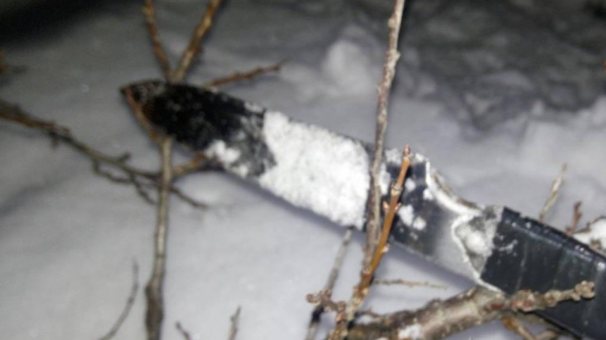 В Юрьевке задержали женщину уоторую подозревают в попытке убийства