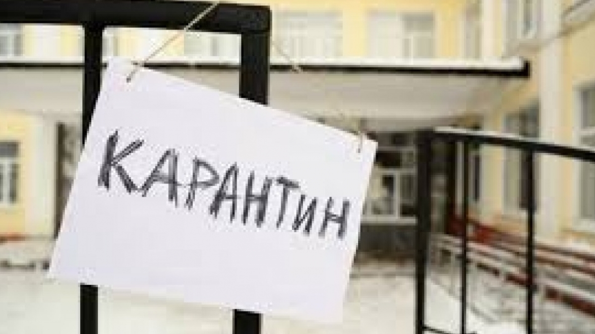 На карантин из-за гриппа закрыты классы в двух школах Павлограда