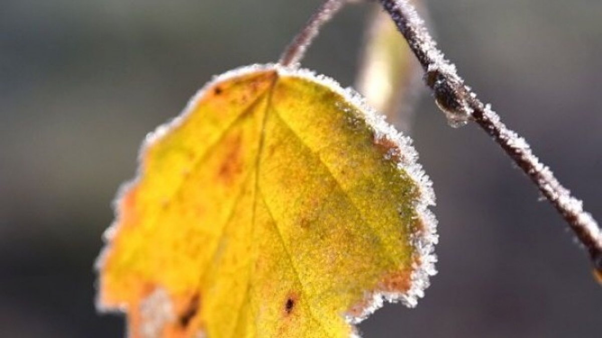 На выходных погода ухудшится, но не везде