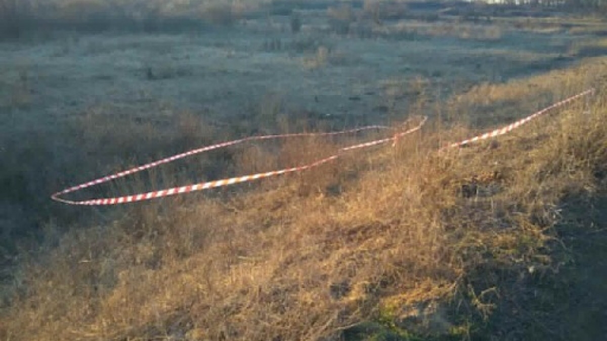 Вблизи Павлограда обнаружены боеприпасы - полиция