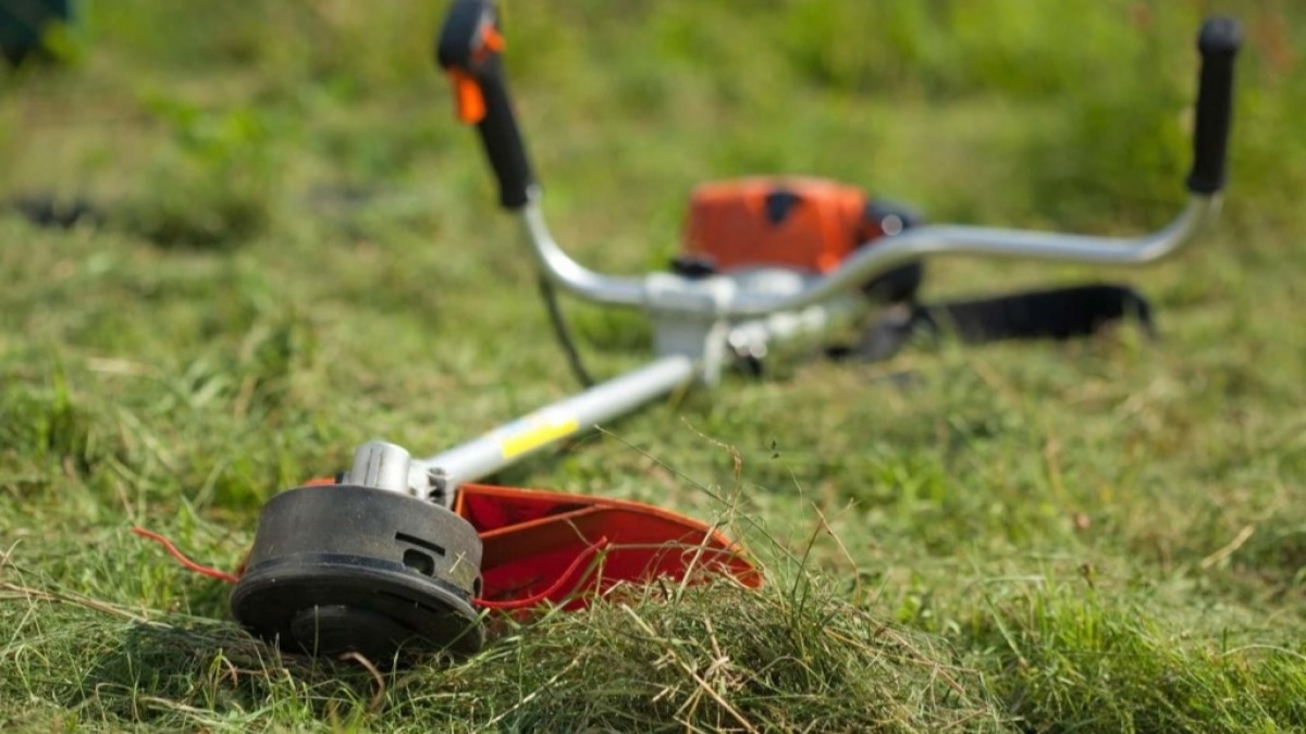 За покос травы в парках Павлограда из бюджета заплатят почти 190 тысяч гривен