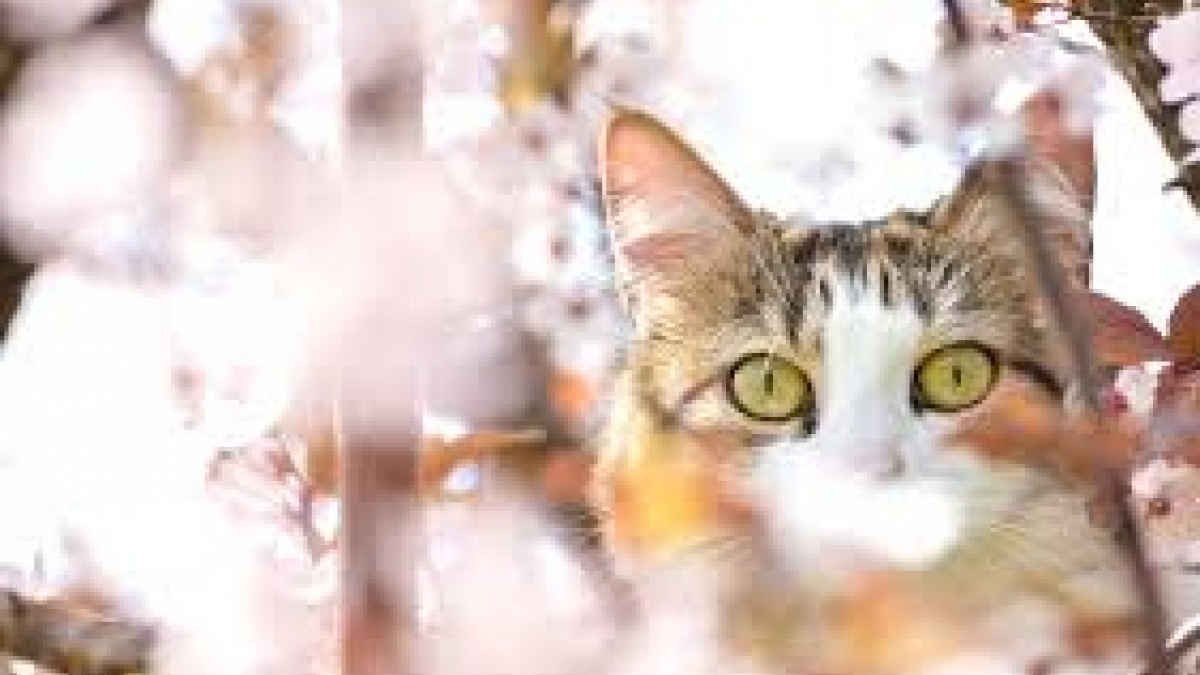 Сегодня в Павлограде ожидают потепление до 10 градусов