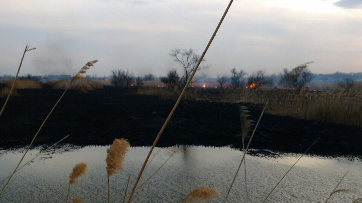 Спасатели 60 раз выезжали на ликвидацию пожаров в экосистеме