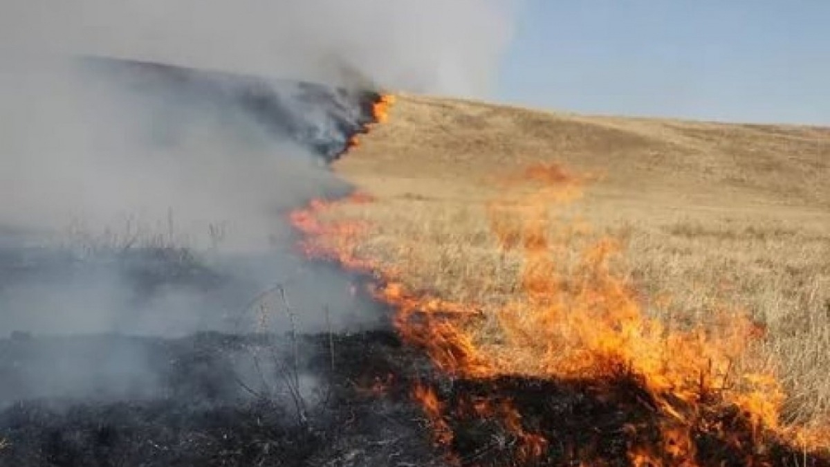 Более 300 пожаров в экосистеме с начала весны произошло на Днепропетровщине
